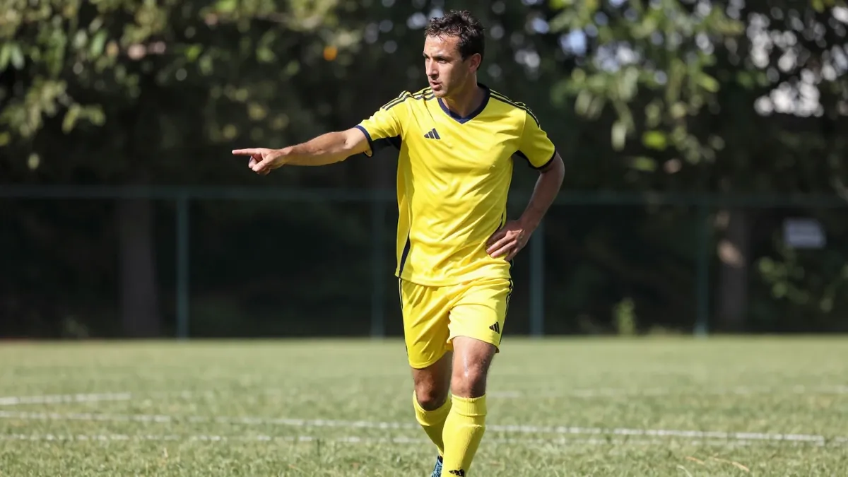 Former Fenerbahçe presidential candidate Hakan Safi claimed he had agreed a deal for Hakan Çalhanoğlu before losing the...